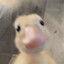Duckstronaut