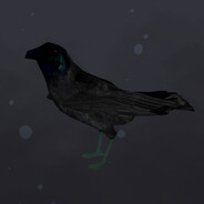 npc_crow