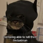 Captain Batman