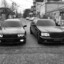 gnosme228