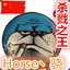 Horse丶骁