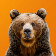 bjørNx - steam id 76561198784903331