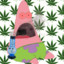 indica