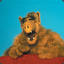 Alf