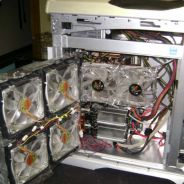 -Ãµƒ-Grinder(EIF)