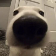 ツ