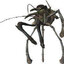 bug