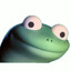 Lizard