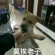 老子可遇不可求