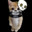 HollowSkull avatar