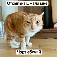 …