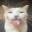 :P