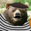 SuBEARstar
