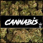 CannabisP62 CSGO.ONE