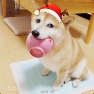 比扣钱没输过