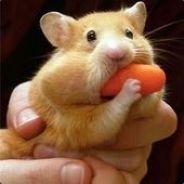 RipRapRob (DK) - steam id 76561197960778409
