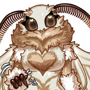 moth
