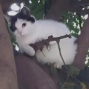 再多一眼看一眼就会爆