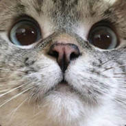 MyNameWontFuckingFi...