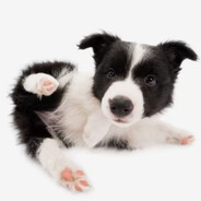 食品生产服务许可