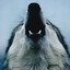Satıcı