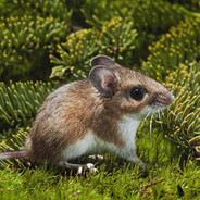 The secret life of cheese