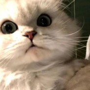 就你叫杨无敌啊