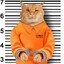 Bad Cat