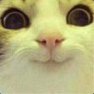 MrMeow - steam id 76561197961802237