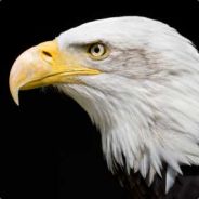 Penno - steam id 76561197965737082
