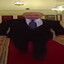 wide putin