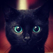 'dT's avatar