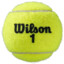 Pelota Wilson