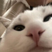 八十岁老奶抢鸡蛋被打