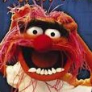 Animal  •̪̀●́