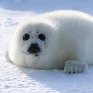 Seal