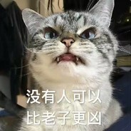 人见人爱猫猫头