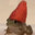 mofrog