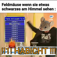 !!!!HABICHT!!!!