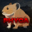 Phyca