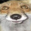 Sulfuricfox
