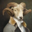Mr. Goat