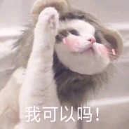 小庄的游戏生活