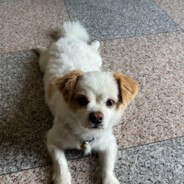 都花钱了还要我亲自玩