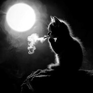qq