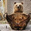 A Kodiak Bear