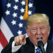 我干掉了本拉登