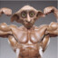 Buff Dobby From Planet Fitness
