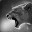 BlackLion
