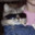 The Homie Dominique Steam avatar